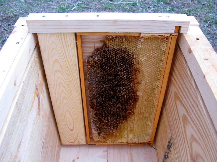 1 1/2 Langstroth Hive Plans